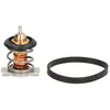 Image de Thermostat d'eau CALORSTAT BY VERNET TH9241.88J