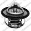 Image de Thermostat d'eau CALORSTAT BY VERNET TH7300.95J