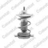 Image de Thermostat d'eau CALORSTAT BY VERNET TH9780.85