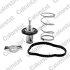 Image de Thermostat d'eau COLORSTAT BY VERNET THK7276.83J