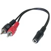 Image de Adaptateur Jack 3.5 mm vers 2 x RCAM - 0,20 m