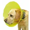 Image de Carcan pour chien Difac T2 Vert 15 cm 354801