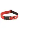 Image de Collier pour chien Martin Sellier M Rouge 25 mm 3007126