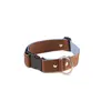 Image de Collier pour chien Martin Sellier L Bleu 40 mm 3007132