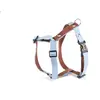 Image de Harnais pour chien Martin Sellier S Bleu 15 mm 3007147