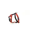 Image de Harnais pour chien Martin Sellier M Rouge 25 mm 3007149