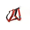 Image de Harnais pour chien Martin Sellier L Rouge 40 mm 3007152