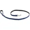 Image de Laisse pour chien Martin Sellier Bleu 15 mm 3008746