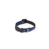 Image de Collier pour chien Martin Sellier S Bleu 15 mm 3009090