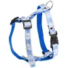 Image de Harnais pour chien Martin Sellier S Bleu 15 mm 3009153