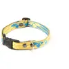 Image de Collier pour chien Martin Sellier S Bleu 15 mm 3007133