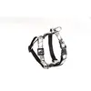Image de Harnais pour chien Martin Sellier S Gris 15 mm 3009157