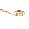 Image de Laisse pour chien nylon Martin Sellier Jaune TU 3009527