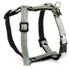 Image de Harnais pour chien Martin Sellier Vert XS 3009144