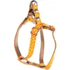 Image de Harnais pour chien pois Martin Sellier XS Orange 10x30/40 cm 3009149