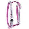 Image de Harnais pour chien Martin Sellier New Disco Rose 15 mm x 35/45 cm 3008308