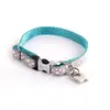 Image de Collier pour chien etoiles Alter Ego Gris XS 3008670