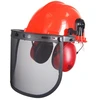 Image de Casque forestier complet, visière + grillage