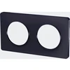 Image de Plaque double Odace touch, anthracite liseré anthracite