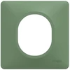 Image de Plaque simple Ovalis, SCHNEIDER ELECTRIC, vert forêt