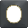 Image de Plaque simple Ovalis, SCHNEIDER ELECTRIC, anthracite bague effet laiton