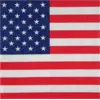 Image de Serviette USA - Lot de 20