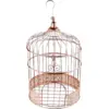 Image de Tirelire Cage métallisé Or-Rose