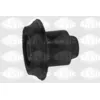 Image de Suspension, corps de l'essieu SASIC 1315635