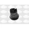 Image de Suspension, corps de l'essieu SASIC 1315935