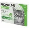 Image de Antiparasite pour chat Frontline Combo (x3) Vert TU 6778462
