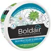 Image de Boldair Destructeur d'odeurs gel, parfum Thé vert et Aloé Vera - pot 300 g