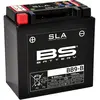 Image de Batterie moto BS Battery SLA BTX12 - C (10Hr) - C (20Hr) 12 V / 10-10,5 AH