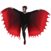 Image de Cape Ailes de Diablesse Rouge 130 cm   Envergure 260 cm