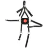 Image de Bâillon cuir BDSM avec gag-ball