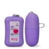 Image de Oeuf vibrant giga-bullet 50 modes - Vibromasseur à distance pour couple