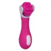 Image de Stimulateur de clitoris à hélices Sensation