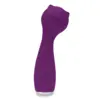 Image de Stimulateur de clitoris Wand Kitty