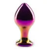 Image de Plug anal en verre Chrome