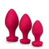 Image de Lot de 3 plugs en silicone Forever
