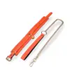 Image de Collier et laisse fluorescents orange