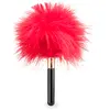 Image de Petit plumeau pour jeux coquins Caress