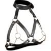 Image de Harnais de poitrine BDSM avec chaînes et anneaux