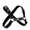 Image de Harnais de torse BDSM pour homme