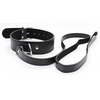 Image de Collier Laisse Premium