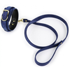 Image de Collier Laisse LIGHTY Bleu