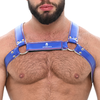 Image de Harnais SPARTA'S Bleu L/XL