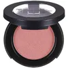 Image de Beauty Success - Wet & Dry Mono Fard À Paupières Rose Corail N°39