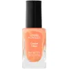 Image de Beauty Success - Longue Tenue Vernis À Ongles N°37 Portofino