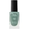 Image de Beauty Success - Longue Tenue Vernis À Ongles N°24 Iced Green
