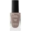 Image de Beauty Success - Longue Tenue Vernis À Ongles N°22 Taupe